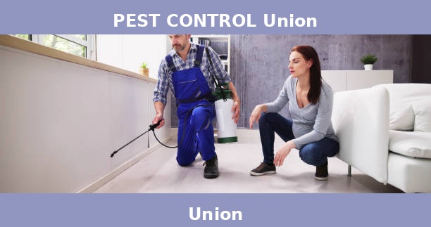 PEST CONTROL Union